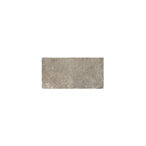     Abdij antislip beige natuursteen look 22 x 44 cm per 0,77 m2
