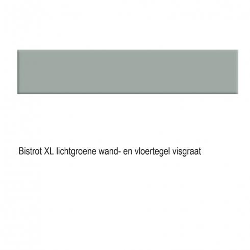 
    Bistrot XL visgraattegel lichtgroen mat 9,9 x 49,2 cm per 0,73m2

