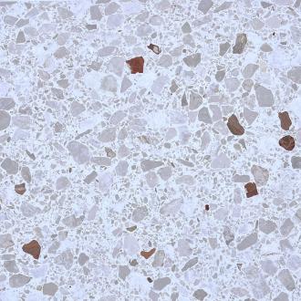     Granito terrazzo XL tegel Savio 60 x 60 cm per m2
