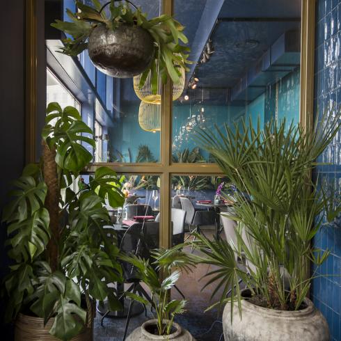 
    Diepblauwe tegels in Restaurant Nomads te Amsterdam

